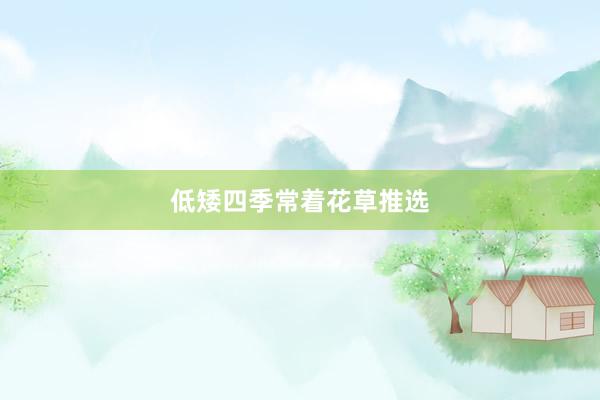 低矮四季常着花草推选