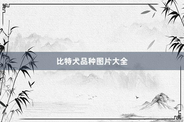 比特犬品种图片大全